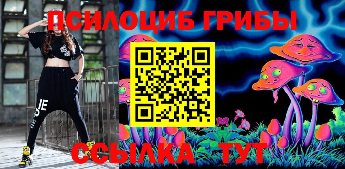 Псилоцибиновые грибы Psilocybine cubensis  Псилоцибиновые грибы MAGIC MUSHROOMS  Вход с VPN  купить   Коряжма 