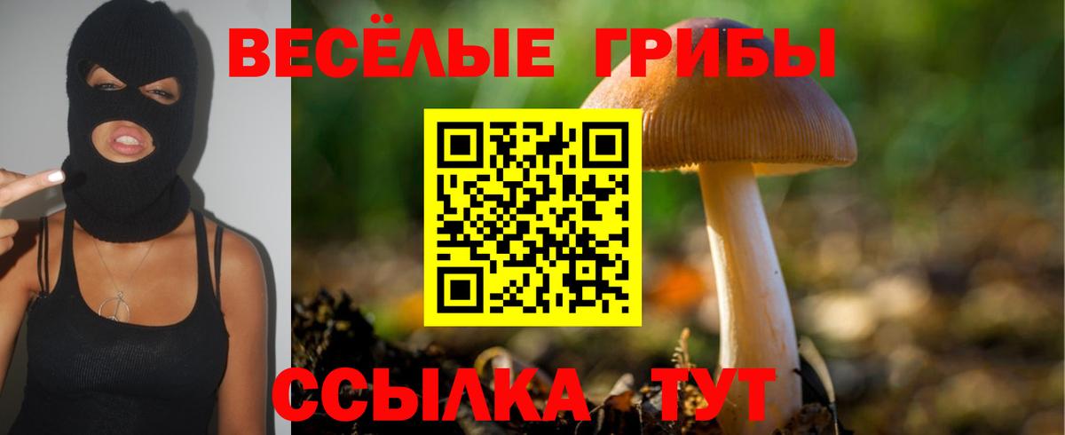 МАРИХУАНА  Alpha PVP СК   Коряжма  MDMA  МЕФ кристаллы  ГАШ  Вход с VPN  Купить 